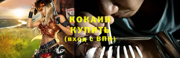 МДПВ Билибино