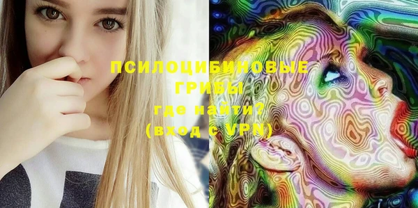 ГАЛЛЮЦИНОГЕННЫЕ ГРИБЫ Туринск