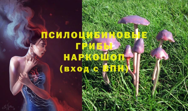 прущая мука Михайловка