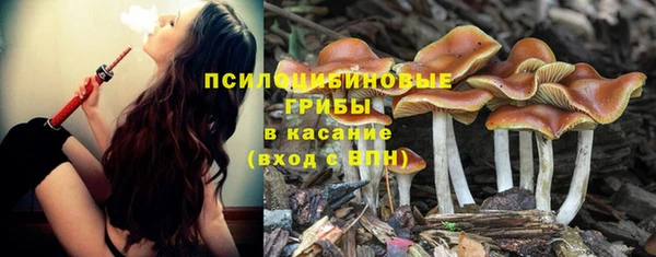 мяу мяу мука Михайлов