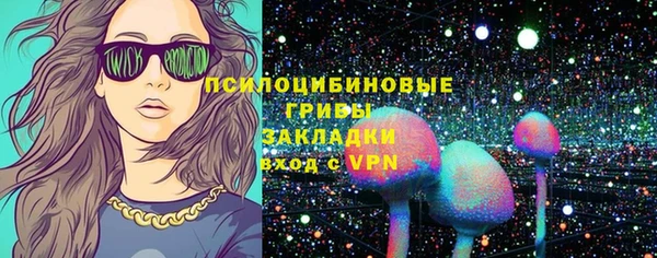 мяу мяу мука Михайлов