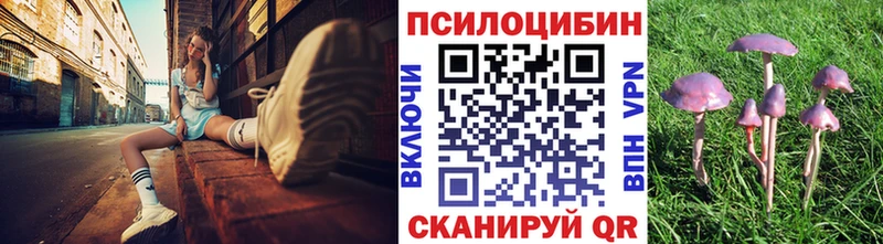 наркошоп  Всеволожск  Галлюциногенные грибы Cubensis 