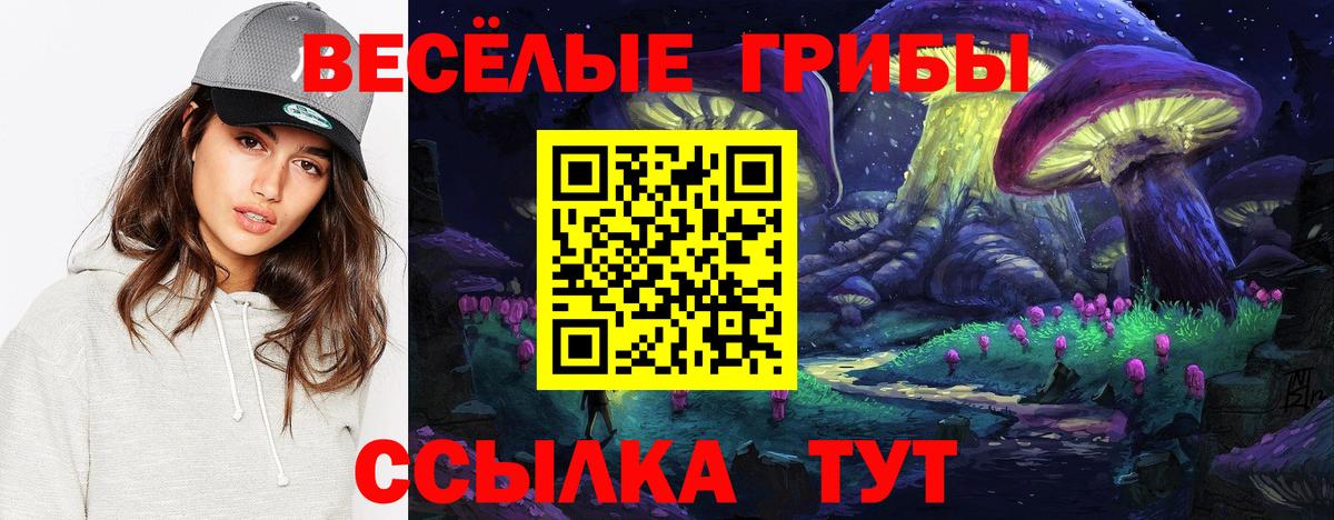 Всеволожск  Псилоцибиновые грибы мицелий  Вход с VPN 