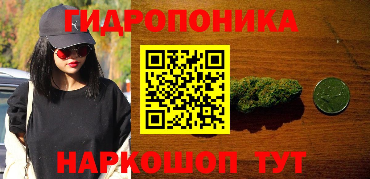 Всеволожск  Шишки марихуана SATIVA & INDICA  МАРИХУАНА планчик  Каннабис Amnesia  Каннабис план  Вход с VPN 